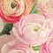 Blushing Blossoms Square II Poster Print by Sarah Gardner - Item # VARPDX10127D